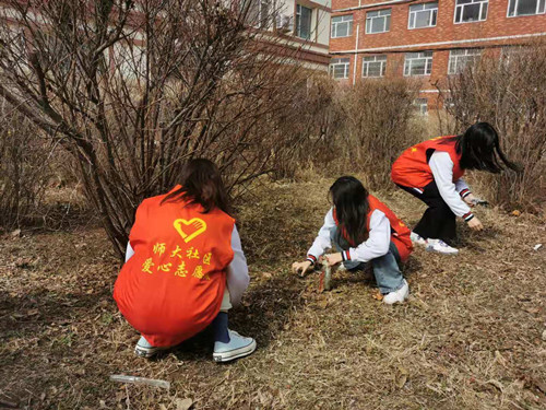 1617277829697975.jpg 2.jpg