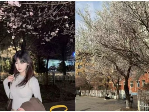 1747350950260987.jpg 7.jpg